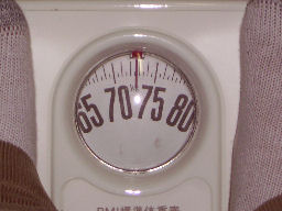 プログラマ ずんべ の日記：体重 73Kg