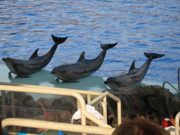 プログラマ ずんべ の日記：名古屋港水族館