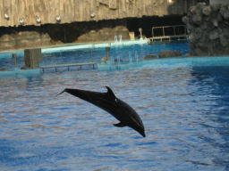 プログラマ ずんべ の日記：名古屋港水族館