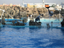 プログラマ ずんべ の日記：名古屋港水族館