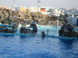 プログラマ ずんべ の日記：名古屋港水族館