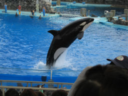 プログラマ ずんべ の日記：名古屋港水族館