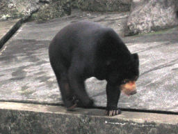 プログラマ ずんべ の日記：のんほいパーク - 豊橋総合動植物園