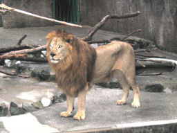 プログラマ ずんべ の日記：のんほいパーク - 豊橋総合動植物園