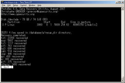 プログラマ ずんべ の日記：PhotoRec 6.8