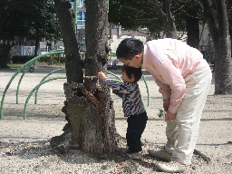 プログラマ ずんべ の日記：富士サファリパークがやってくる！！