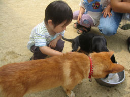 プログラマ ずんべ の日記：名古屋市動物愛護センター