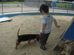 プログラマ ずんべ の日記：名古屋市動物愛護センター