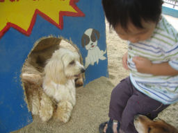 プログラマ ずんべ の日記：名古屋市動物愛護センター