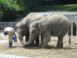 プログラマ ずんべ の日記：東山動植物園