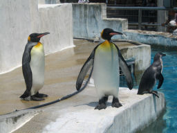 プログラマ ずんべ の日記：東山動植物園