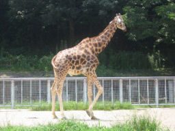 プログラマ ずんべ の日記：東山動植物園