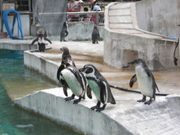 プログラマ ずんべ の日記：東山動植物園