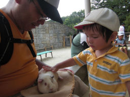 プログラマ ずんべ の日記：東山動植物園