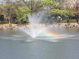 プログラマ ずんべ の日記：堀内公園