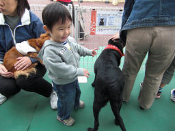 プログラマ ずんべ の日記：中日ハウジングセンター わんわん動物園