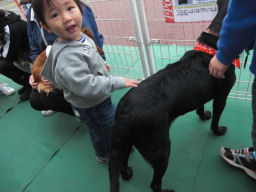 プログラマ ずんべ の日記：中日ハウジングセンター わんわん動物園