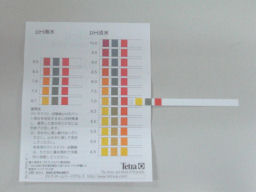 プログラマ ずんべ の日記：イシマキガイが育たない