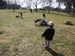 プログラマ ずんべ の日記：名古屋市見晴台考古資料館