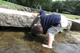 プログラマ ずんべ の日記：名城公園でじゃぶじゃぶ