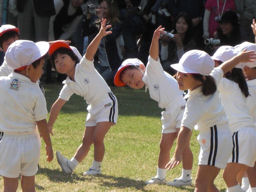 プログラマ ずんべ の日記：運動会