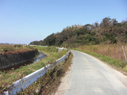 プログラマ ずんべ の日記：渥美半島ぐる輪サイクリング